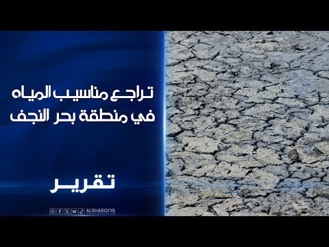 فيديو | تراجع مناسيب المياه في منطقة بحر النجف